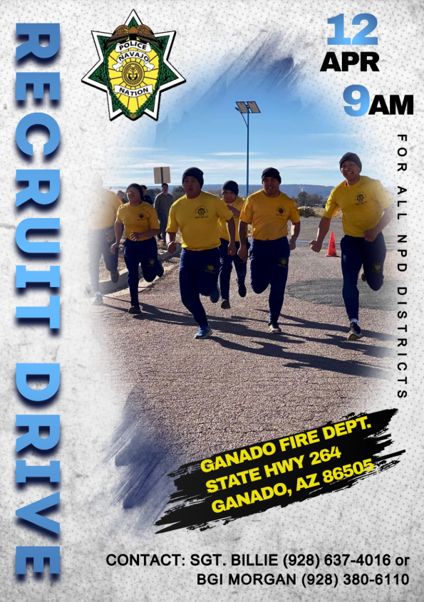 Navajo Chapter Sites