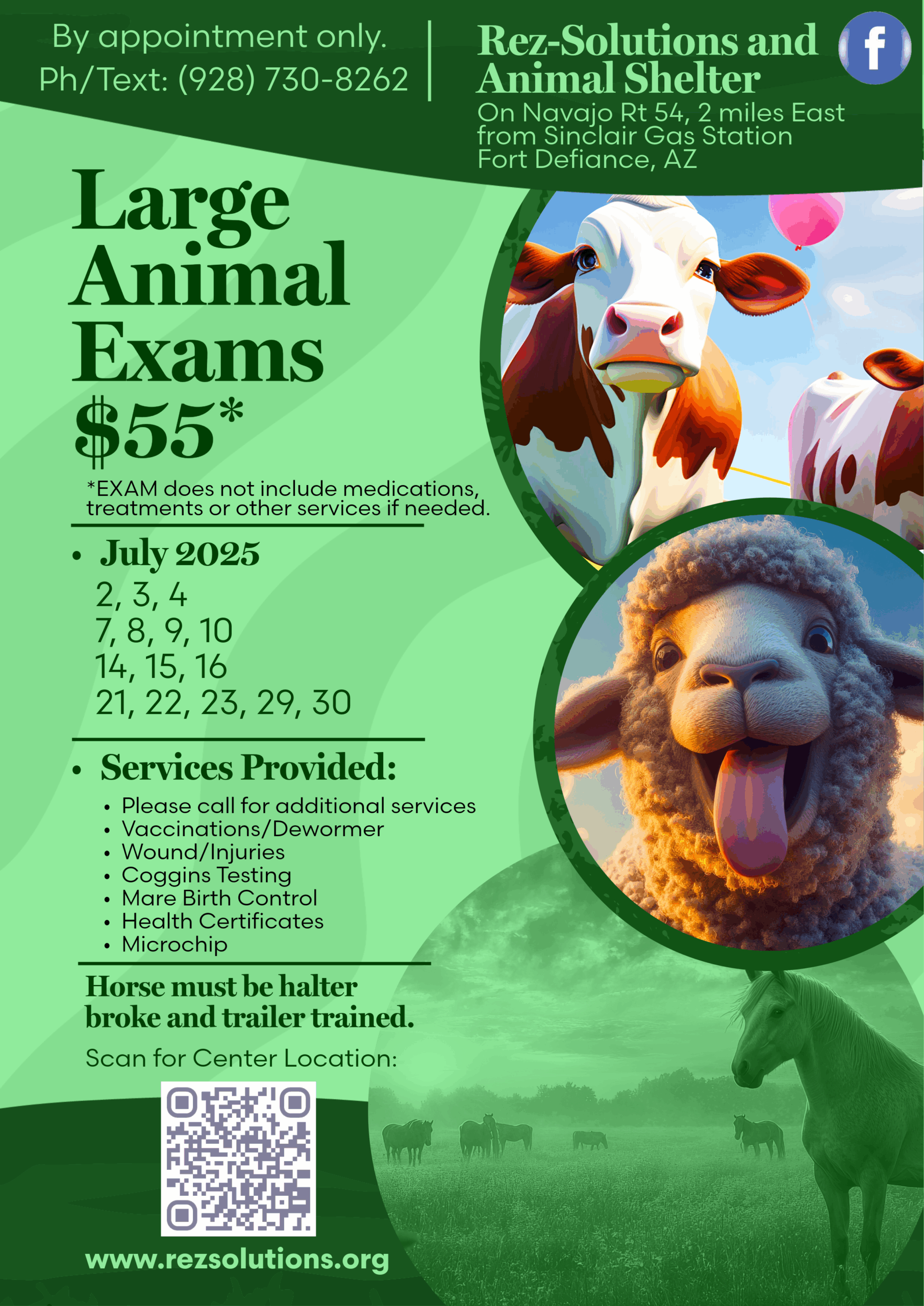 Large Animal Exams July 2025